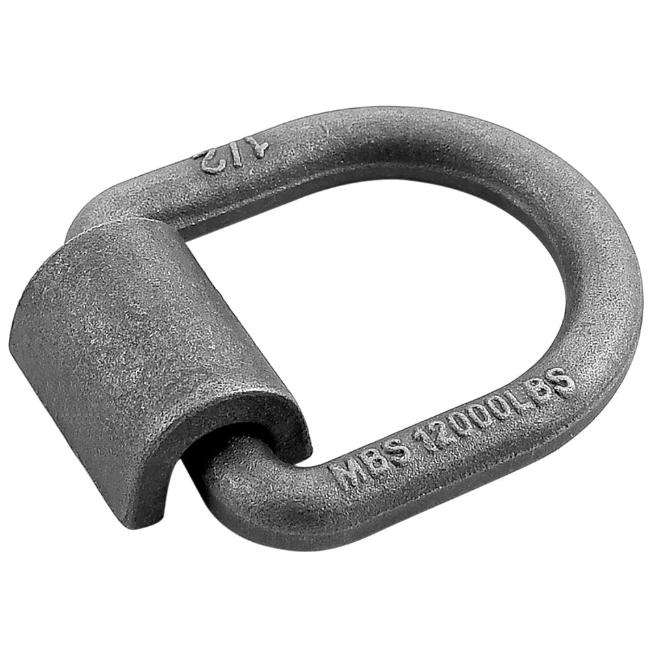 Robbor 1/2 Inch Forged D-Ring With Weld-On Bracket